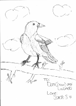 sarahs-drawing-of-a-crow